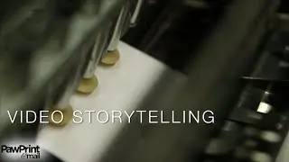 Video Marketing for Printing Companies