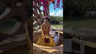 South Asian Destination Haldi