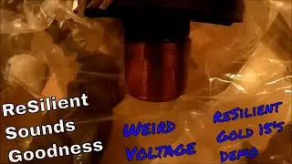 Resilient Sounds Gold 15's, Team 15 Recone and Bass Demo