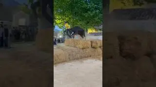 Solo courses au plan de Langlade