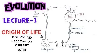 Origin of Life - Organic compounds, Coacervates| Evolution | Zoology | Notes pdf link in description