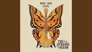 Mary Jane (Live)