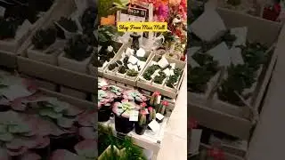Eid Shopping || Max Mall Saudia || Explore Jubail || Life in KSA #viral #shortvideo #foryou #yt