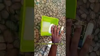 Projector Screen Painting #amazon #viral #movie #theatre #india #