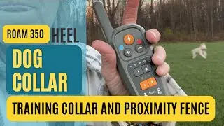 Roam 350 от Heel: тестирование виртуального поводка для выгула собак без поводка