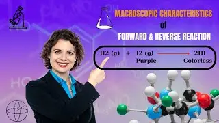 Macroscopic characteristics of forward and reverse reaction@Learnwithkiranzahra1125