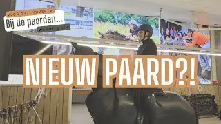 Een NIEUW PAARD voor KIM? Deze is wel erg braaf!