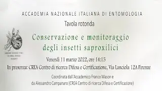 Conservazione e monitoraggio degli insetti saproxilici