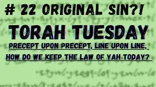 Torah Tuesday #22 Original Sin, Birthing, Virgin Birth, Death (Leviticus 12)