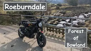 Royal Enfield Guerrilla 450 | Roeburndale | Forest of Bowland