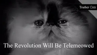 Truther Cats: The Revolution Will Be Telemeowed