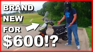 CAN A $600 NEW SCOOTER BE RELIABLE?! - RedFoxPowersports Express Scooter Review