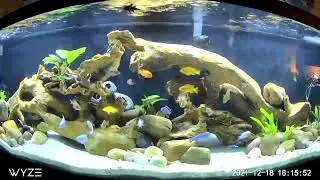 Top Fin 125 Gallon Aquarium