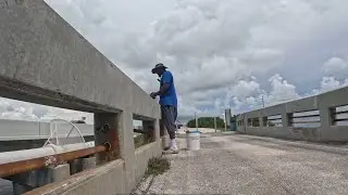 Mangrove Snapper Fishing
