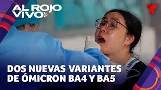 Dos nuevas subvariantes de &oacute;micron se propagan en EE. UU.