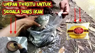 How to make evil getuk || Fishing bait || Test it right away.