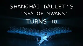 Shanghai Ballet's 'Sea of Swans' Turns 10