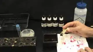 The simple stain