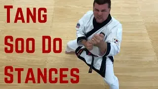 How to do Tang Soo Do Stances
