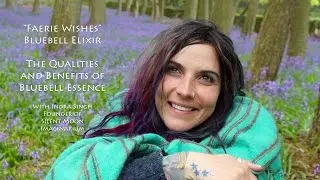 Silent Moon Imaginarium - BlueBell Love