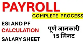 PAYROLL FULL PROCESS |SALARY SHEET 2025|  ESI PF CALCULATION | Payroll in Hindi | Payroll Kya hota h