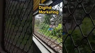 Attending Class with Fever | Learning Meta Ads | Digital Marketing Vlog
