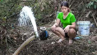 Catching 10000+ Big KOI Fish on a Rainy Day   Fishing Ancient Fishing Techniques