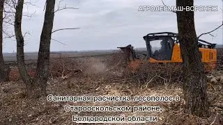 САНИТАРНАЯ РАСЧИСТКА ЛЕСОПОЛОСЫ МУЛЬЧЕРОМ PRIME TECH PT-300