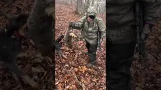 Raccoon Hunting Southern WV