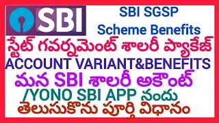 HOW TO CHECK SBI STATE GOVERNMENT SALARY PACKAGE ACCOUNT VARIANT AND BENEFITS FOR EMPLOYEES