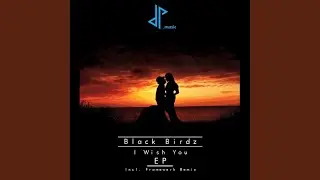 I Wish You (Original Mix)