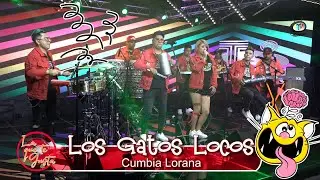 Los Gatos Locos - Cumbia Lorana