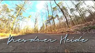 Dresdner Heide im jungen Fr&uuml;hling