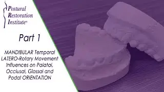 Mandibular Temporal Latero&ndash;Rotary Movement Influences - Part 1