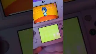 Let's Play Animal Crossing Happy Home Designer