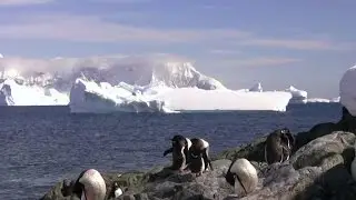 Antarctic ice shelf at risk of collapse within 100 years