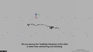Brownian Dynamics Simulation of Polymer Chain With HI