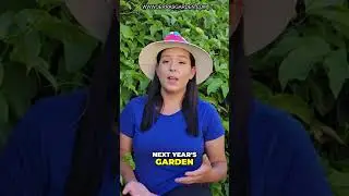 Finish Your Garden Projects NOW!