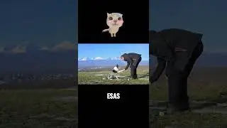 Curso completo de control de impulsos en perros: c&oacute;mo manejar saltos, mordidas y ladridos