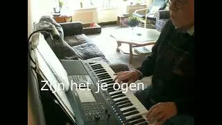 Hollandse Hitmedley