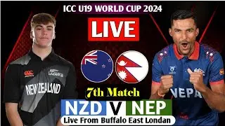 Nepal vs New Zeeland U19 Full Match  | NEP vs NZ U19 - 7th Match Live | Live MAtch Today 2024