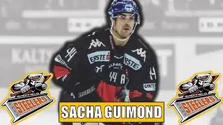 Sheffield Steelers Sign Sacha Guimond