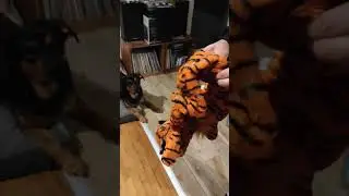 Peluche KONG Stretchezz Jumbo Tiger X-Large Zoomalia