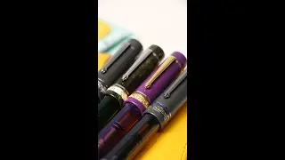 Fall In Love with the NEW Delta Limited Edition Mid-Size Plus Fountain Pens