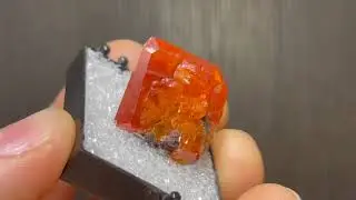 Red Cloud Mine Wulfenite Crystal From an Old Collection - Mounted in Box 1242MW