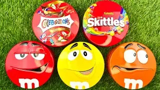 Candy Lovers Dream! ASMR Unboxing of Skittles & M&M's | Colorful Tins and Satisfying Sounds Revealed