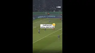 MEGA-Gr&auml;tsche von Dardai