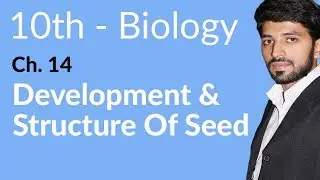 10th Class Biology Chapter 5 - Development and Structure of Seed - Class 10 Biology Chapter 14