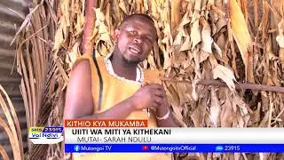 KITHIO KYA MUKAMBA :UIITI WA MITI YA KITHEKANI