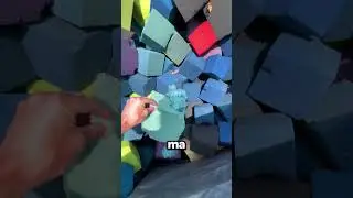 Roditori Nella Gommapiuma?!?!😱